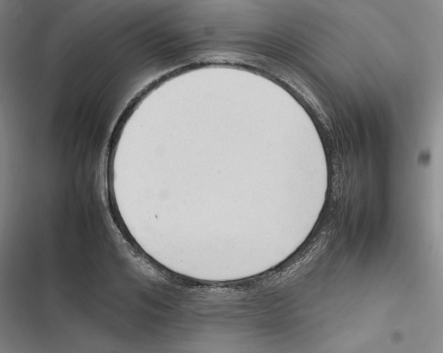 X0000116880984201001191740