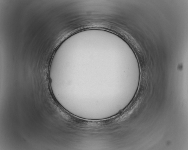 X0000116880985201001191740