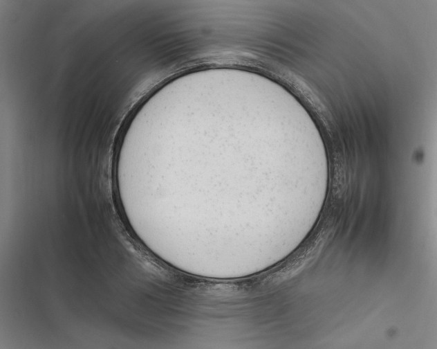 X0000116880986201001191740