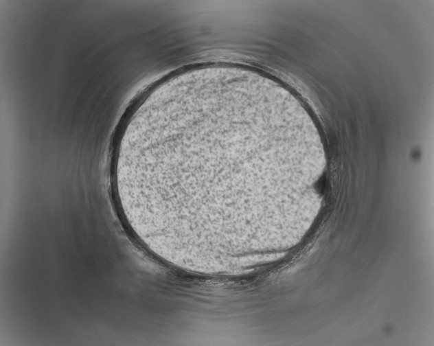 X0000116880987201001191740