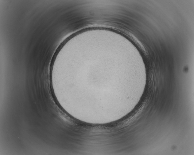 X0000116880988201001191740