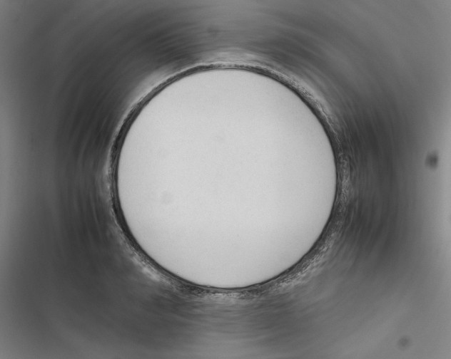 X0000116880990201001191740