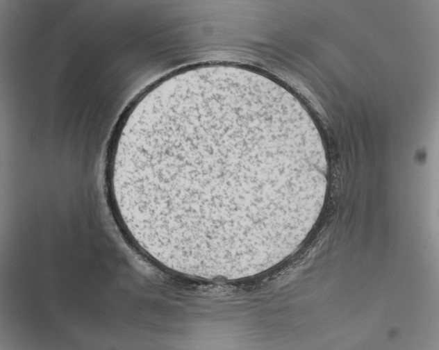 X0000116880991201001191740