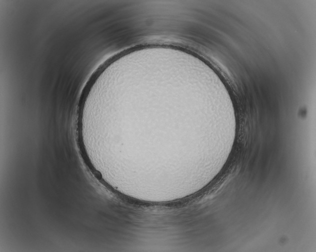 X0000116880992201001191740