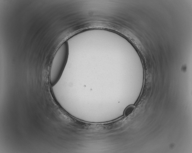 X0000116880993201001191740