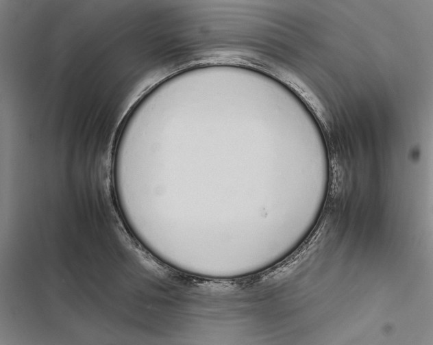 X0000116880994201001191740