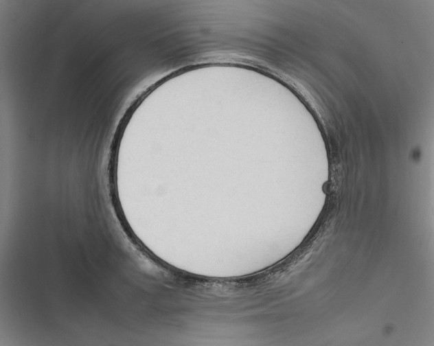 X0000116880995201001191740