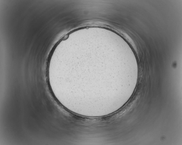 X0000116880997201001191740