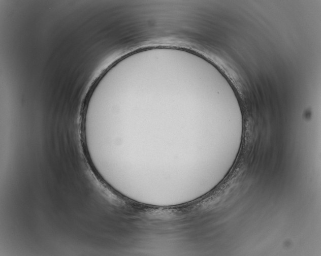 X0000116880998201001191740
