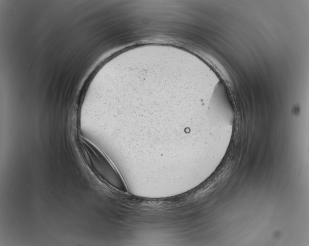 X0000116881000201001191740