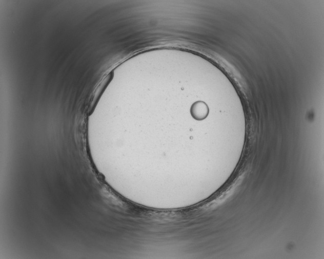 X0000116881001201001191740