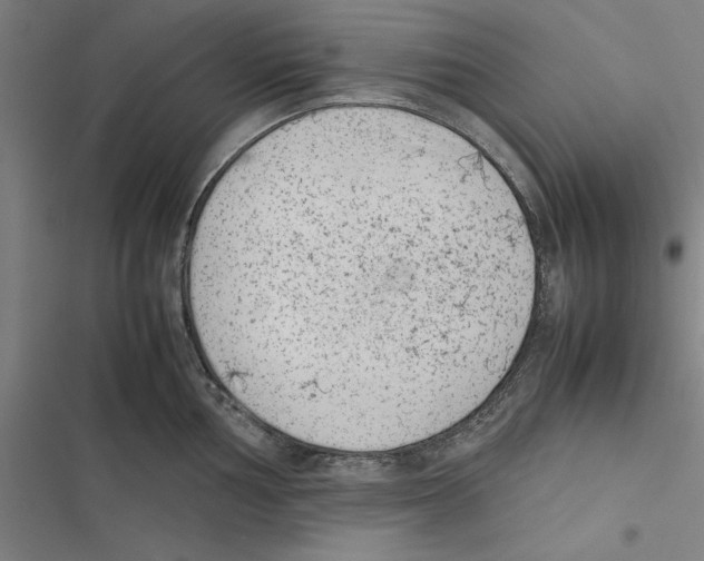 X0000116881002201001191740