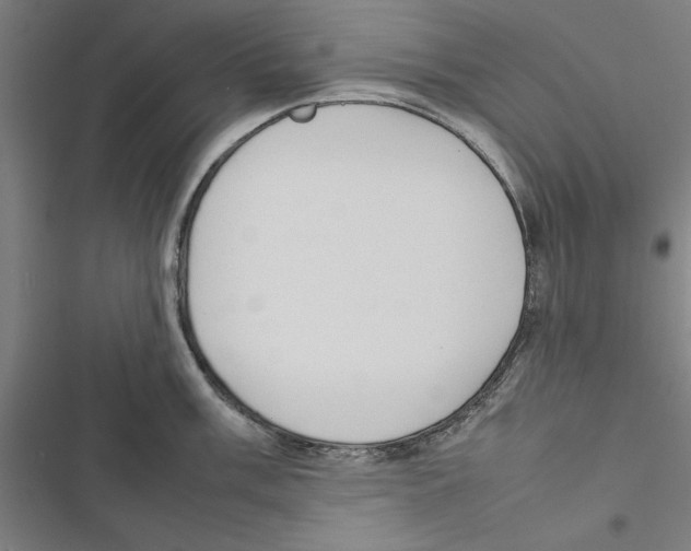 X0000116881003201001191740