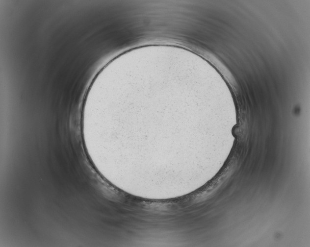 X0000116881004201001191740