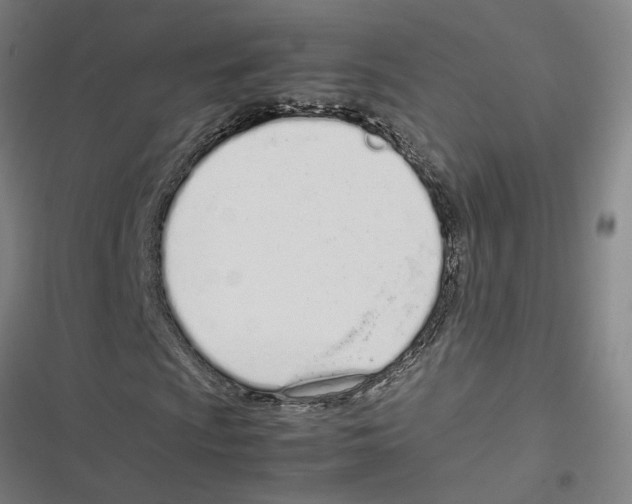 X0000116881009201001191739