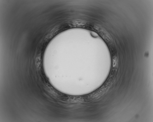 X0000116881011201001191739