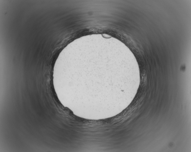 X0000116881012201001191739