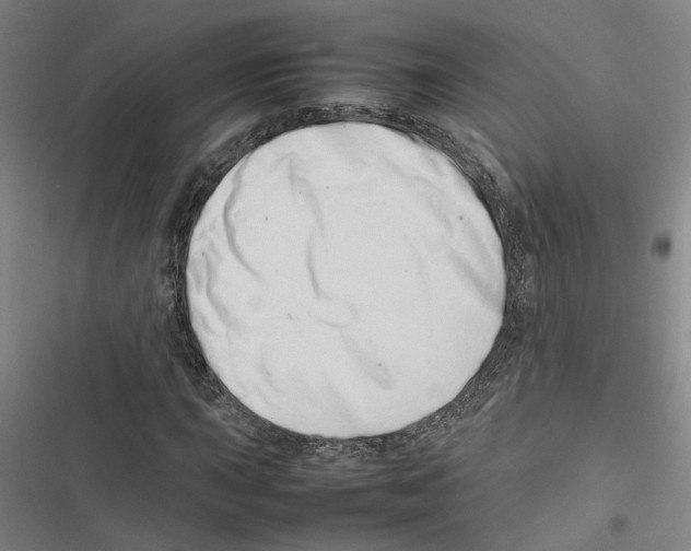 X0000116881015201001191739