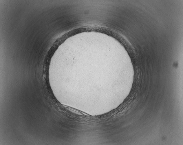 X0000116881016201001191739