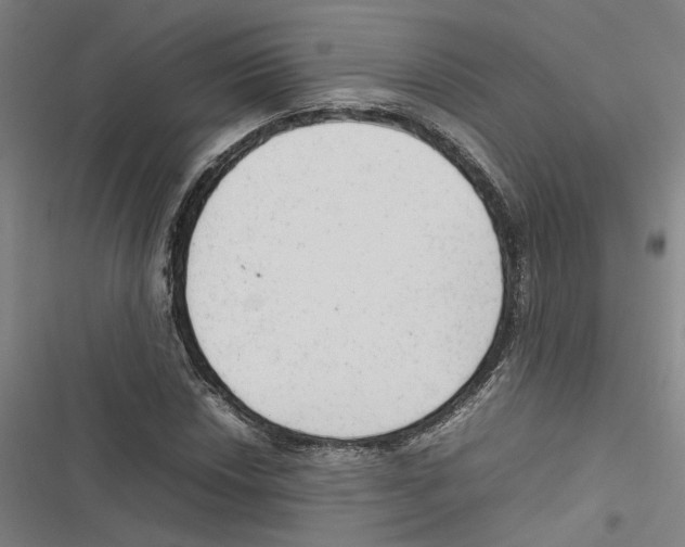 X0000116881018201001191739