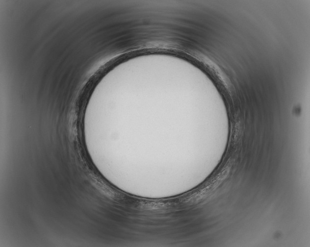 X0000116881019201001191739