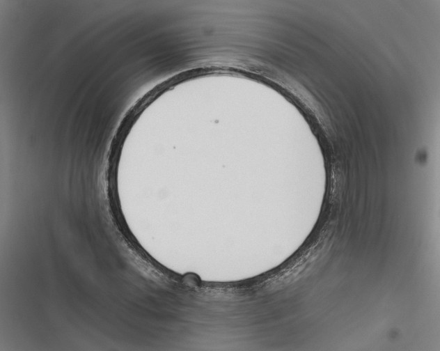 X0000116881020201001191739