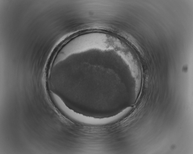 X0000116881024201001191739