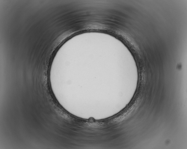 X0000116881025201001191739