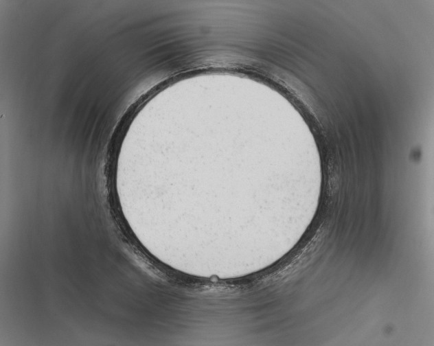 X0000116881026201001191739