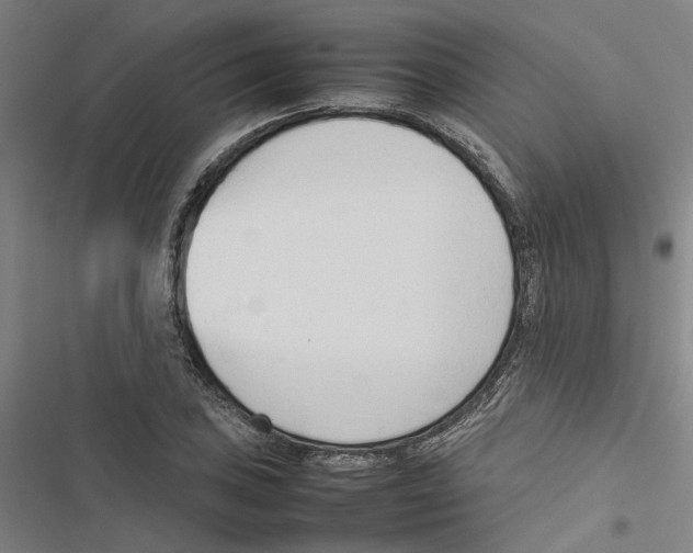 X0000116881027201001191739