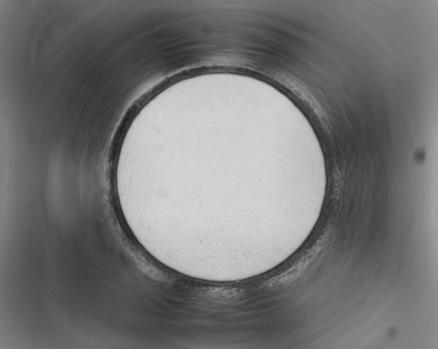 X0000116881029201001191739