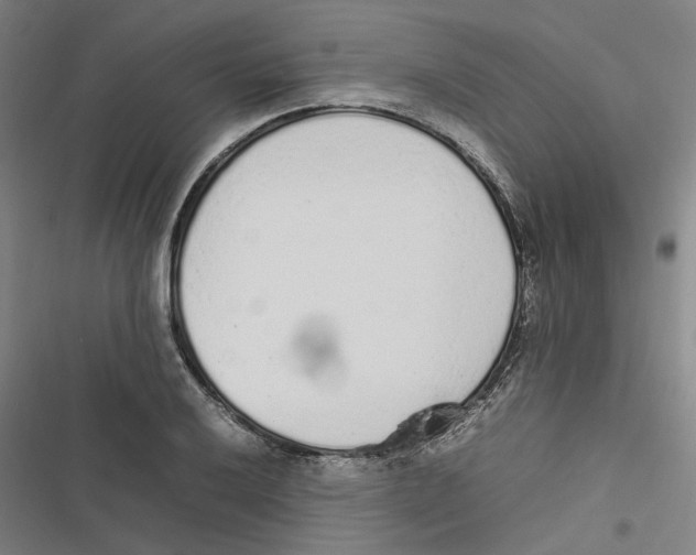 X0000116881032201001191739