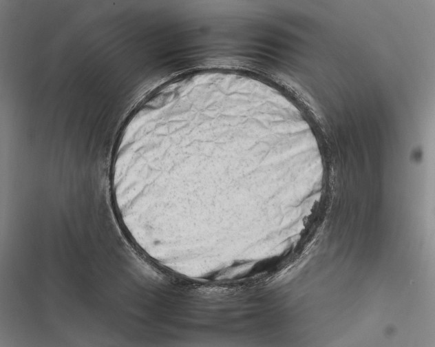 X0000116881033201001191739
