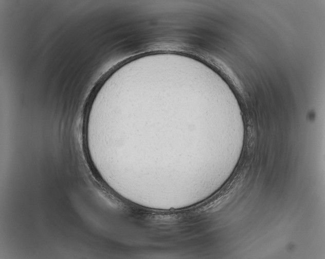 X0000116881035201001191739
