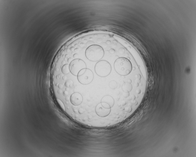 X0000116881036201001191739