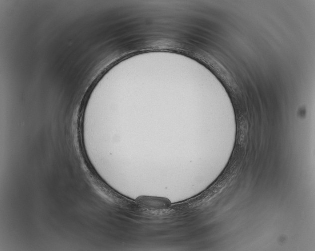 X0000116881039201001191740