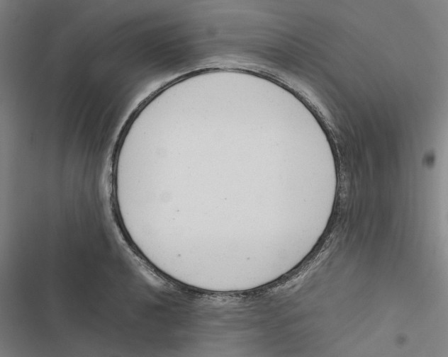 X0000116881040201001191740