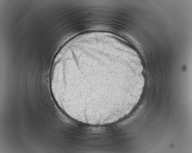X0000116881041201001191740