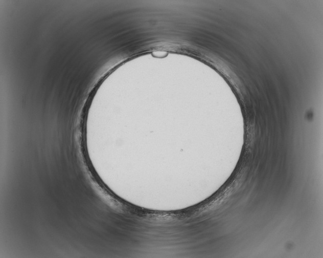 X0000116881042201001191740
