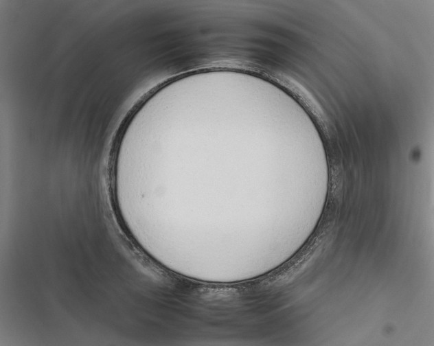 X0000116881043201001191740