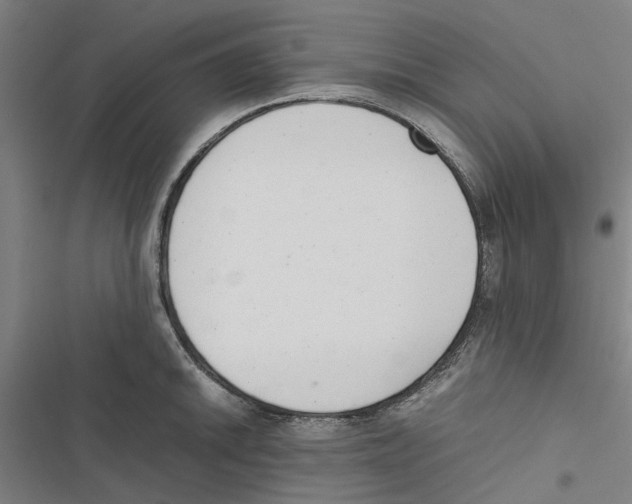 X0000116881046201001191740