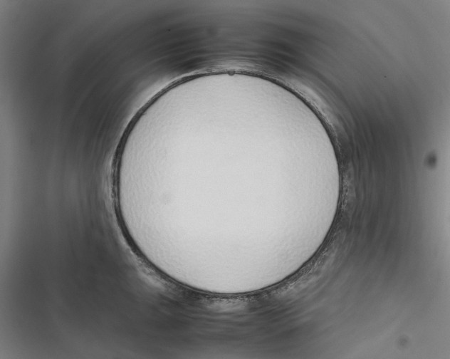 X0000116881047201001191740