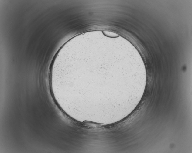 X0000116881050201001191740