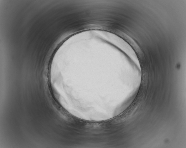 X0000116881051201001191740