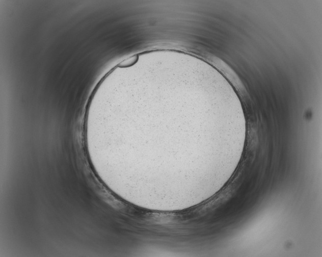 X0000116881052201001191740