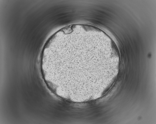 X0000116881053201001191740