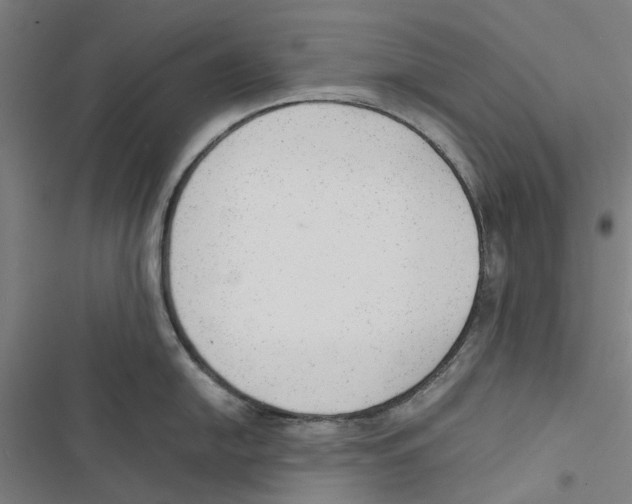 X0000116881054201001191740
