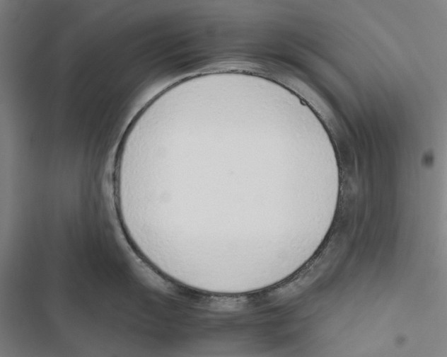 X0000116881055201001191740