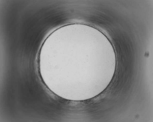 X0000116881056201001191740