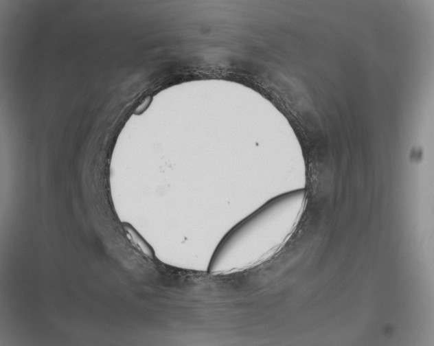 X0000116881057201001191739